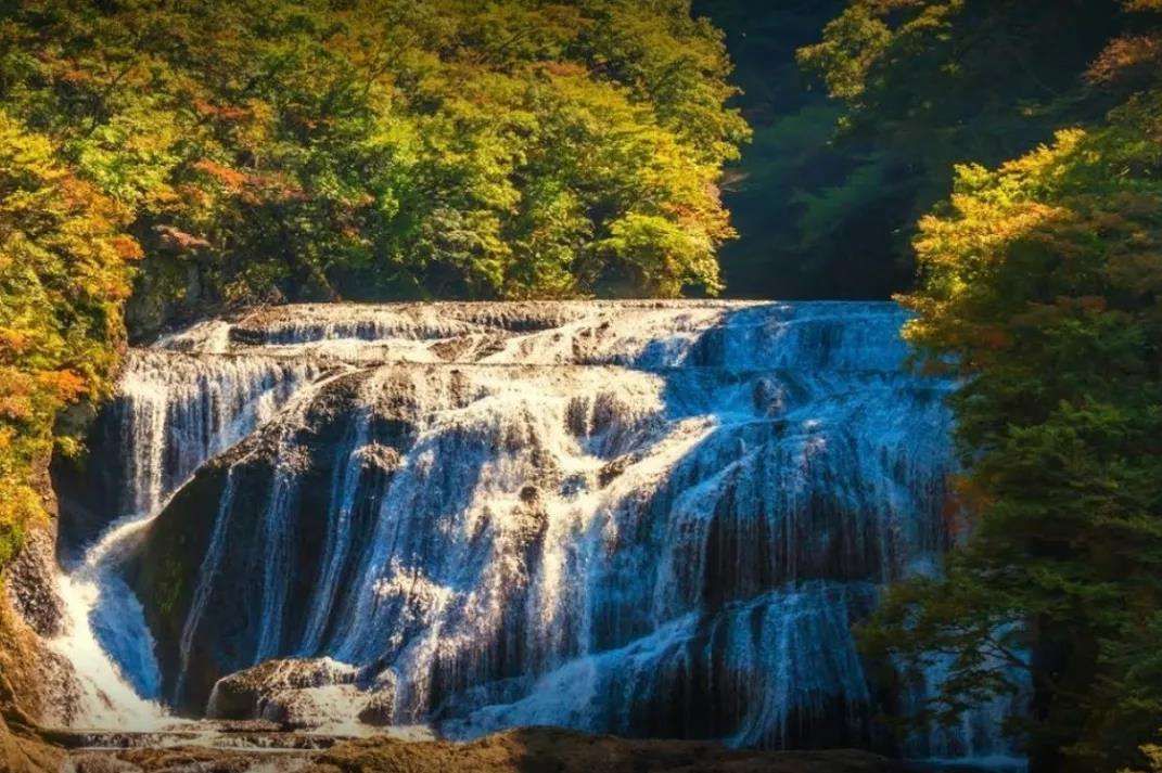 這樣飛日本最便宜，還能打卡一片小眾秘境！ 旅遊 第17張