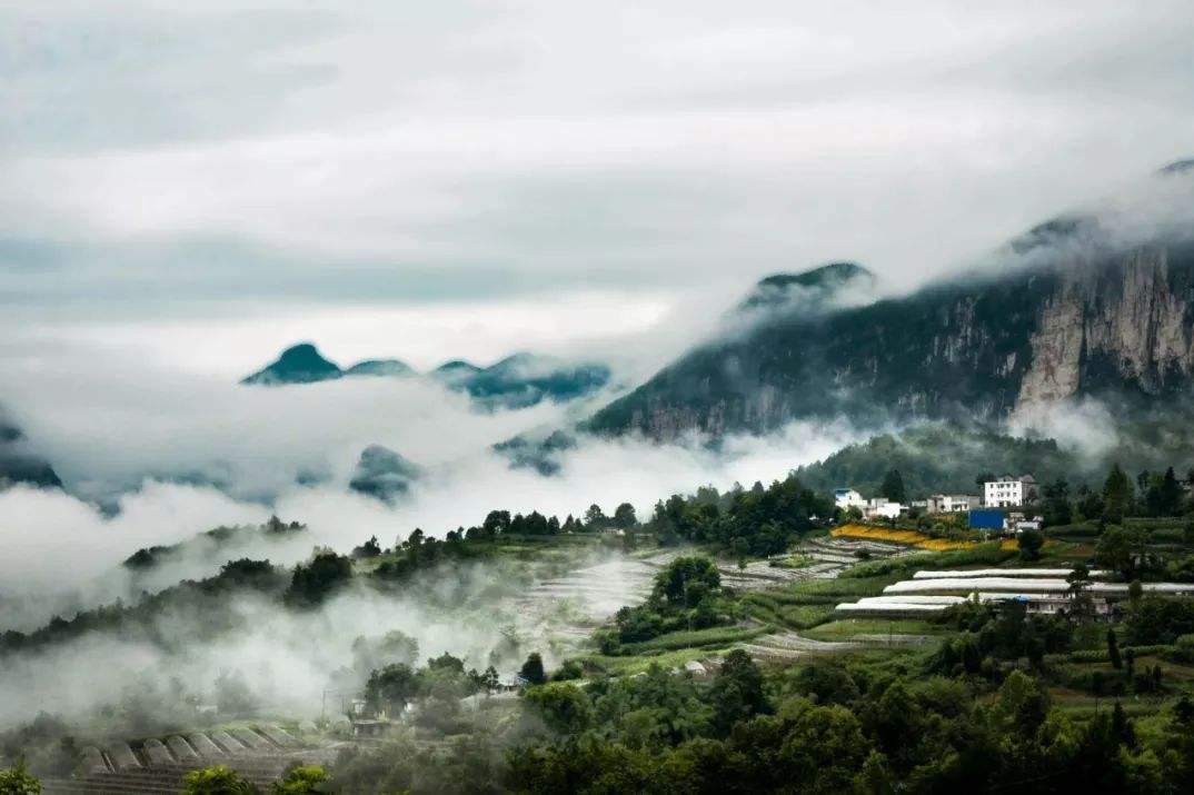 重磅！湖北全省A級景區對全國遊客免門票開放！ 旅遊 第6張