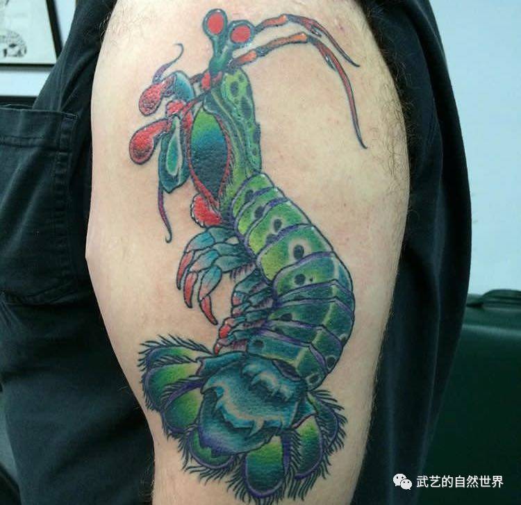 行了"皮皮虾玩球"的纹身也都"欣赏"完了,也该吃饭了