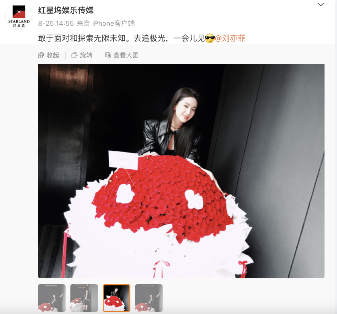 刘亦菲现身三星堆，全程低调