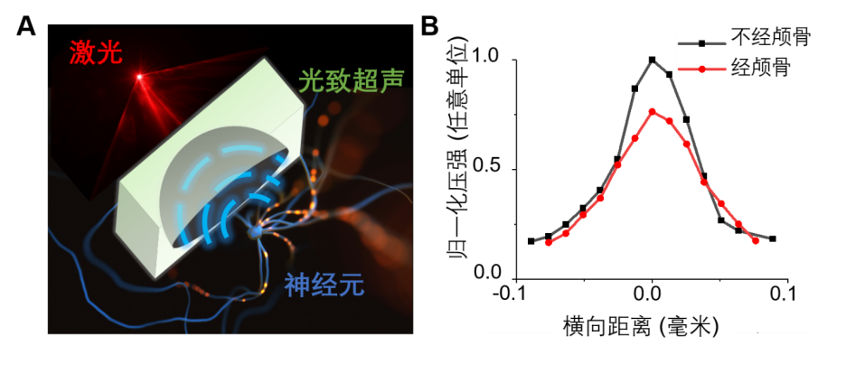 Light | 超高精度光致超声无创神经刺激技术的图2