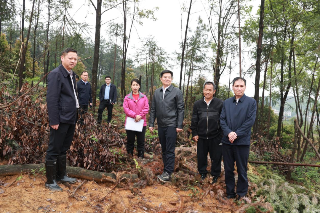 袁胜良在白仓镇调研耕地保护,禁毒,反电诈等工作_ 邵阳县_ 邵阳市人民