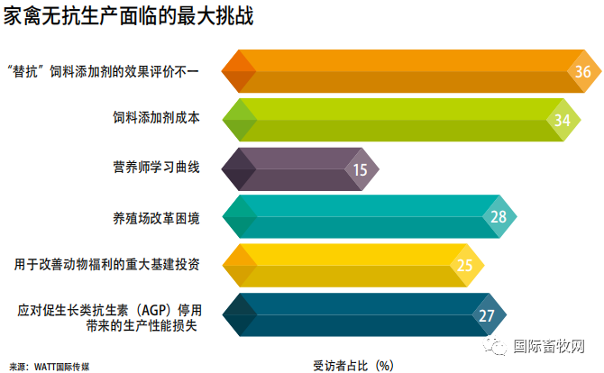 2019家禽营养与饲料调查报告:抗生素减停带来持续挑战 2019家禽营养与饲料调查报告:抗生素减停带来持续挑战