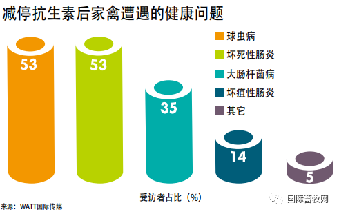 2019家禽营养与饲料调查报告:抗生素减停带来持续挑战 2019家禽营养与饲料调查报告:抗生素减停带来持续挑战