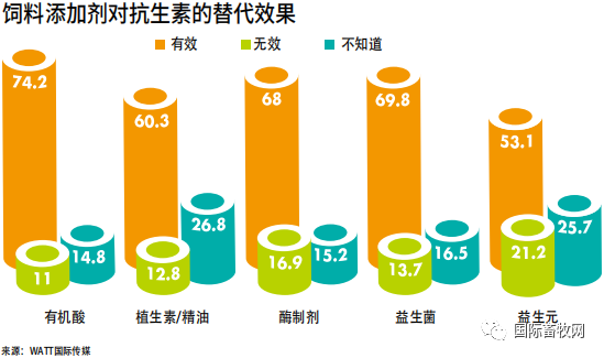 2019家禽营养与饲料调查报告:抗生素减停带来持续挑战 2019家禽营养与饲料调查报告:抗生素减停带来持续挑战