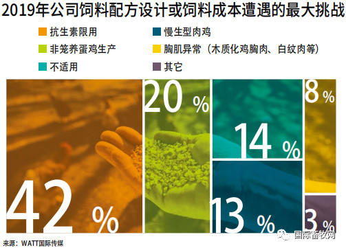 2019家禽营养与饲料调查报告:抗生素减停带来持续挑战 2019家禽营养与饲料调查报告:抗生素减停带来持续挑战