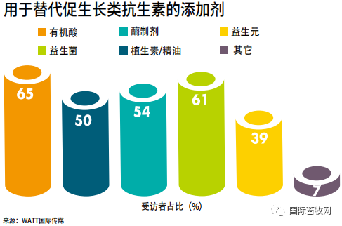 2019家禽营养与饲料调查报告:抗生素减停带来持续挑战 2019家禽营养与饲料调查报告:抗生素减停带来持续挑战