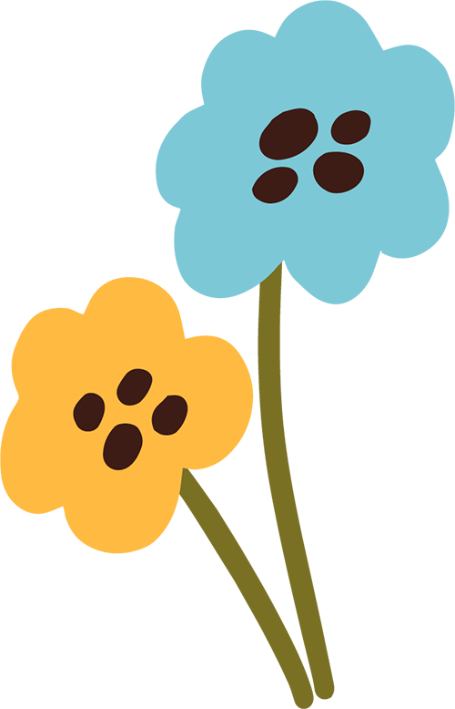 中药饮片的煎煮事项和服用方法