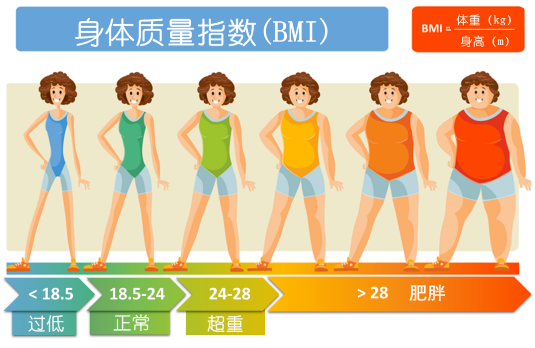 ​试管知识 | 哪些精子问题会影响胚胎质量?
