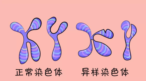 胚胎培养失败，或许和这些因素有关！