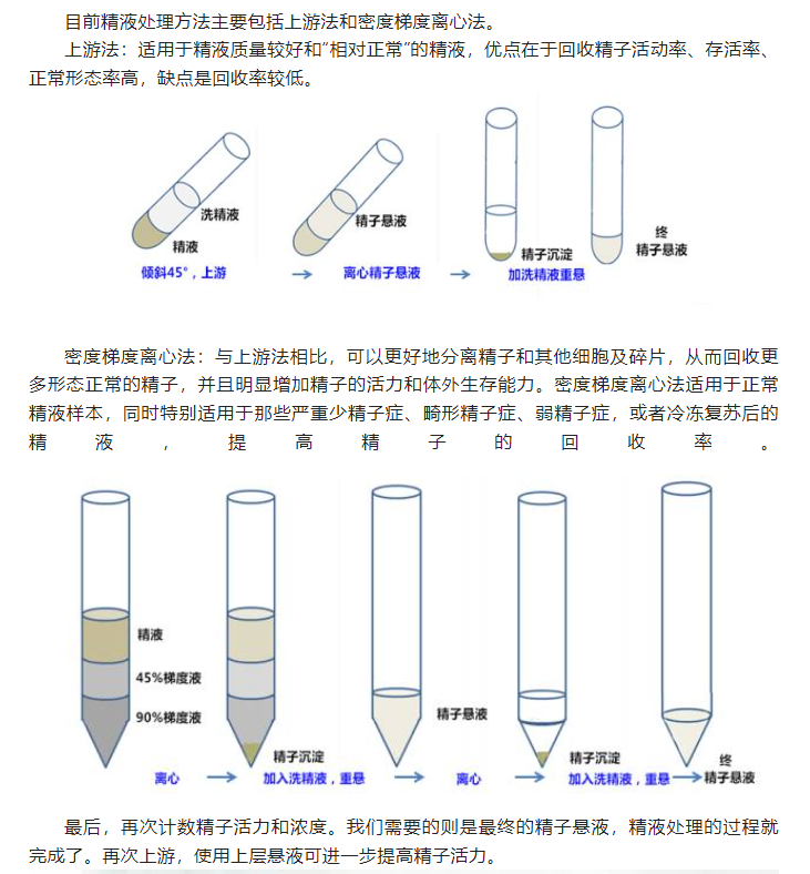 重视男性生育力，别让“小蝌蚪”扯后腿！