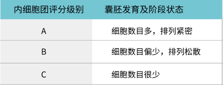 关于胚胎评级看不懂，今天一文解释清楚！