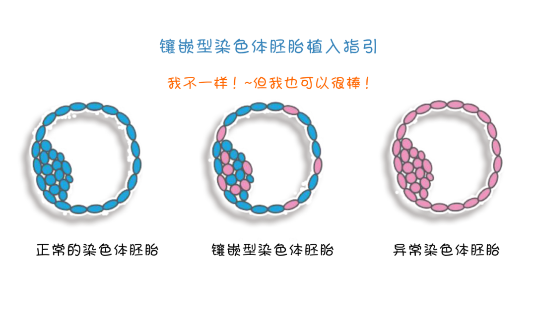三代试管遇上「嵌合体」胚胎，是丢弃还是移植？