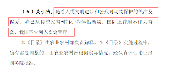 繼深圳以後，第二個禁食貓狗肉的城市出爐，為珠海點讚！ 寵物 第3張