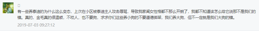 為什麼泰迪成了令人憎惡的狗？ 寵物 第3張