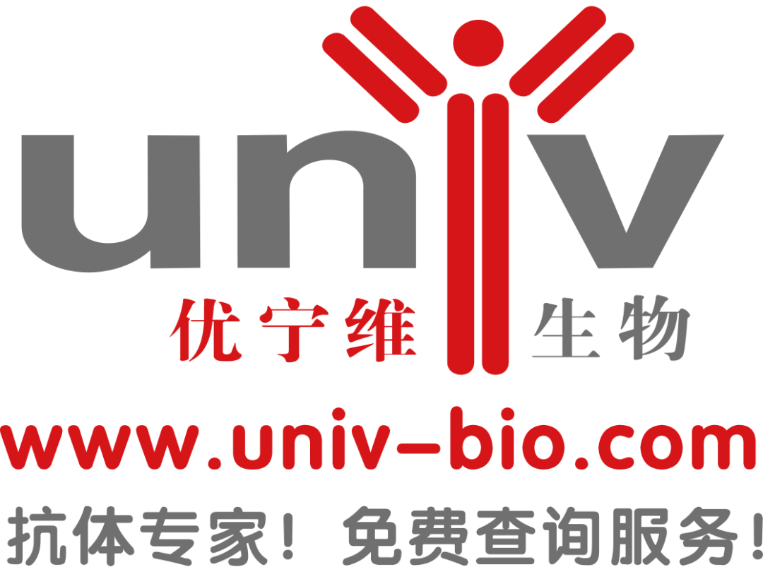 展位销售过半 ▏早鸟价即将截止▏2021易贸医疗会议之第五届中国医学检验实验室高峰论坛-肽度TIMEDOO