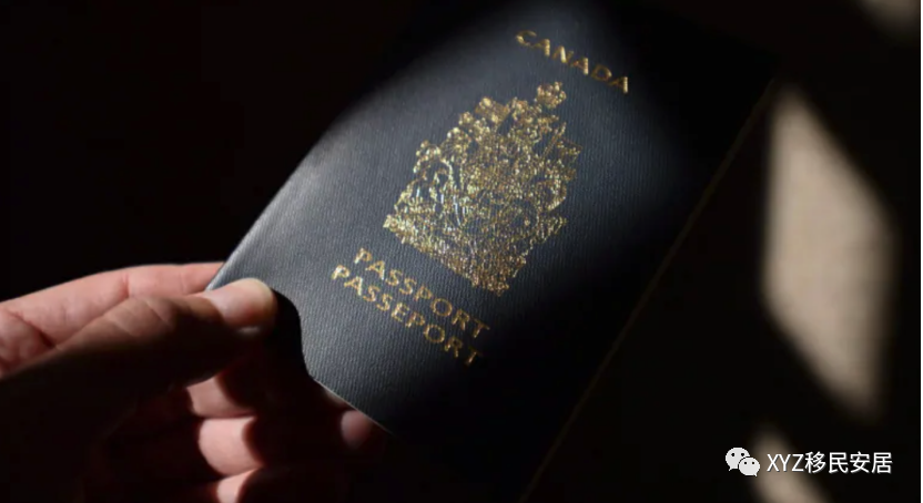 谎报信息 加拿大公民身份仍会被撤销 Xyz Immigration