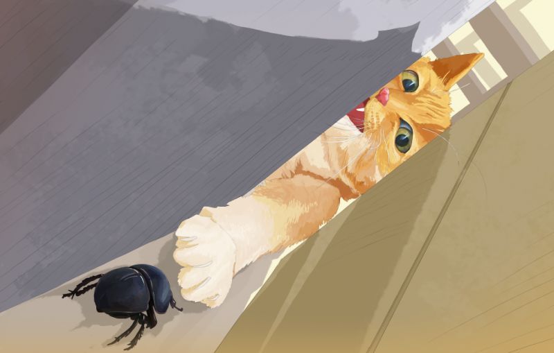 有梦想的昆虫最可爱 奇遇国童书馆 微信公众号文章阅读 Wemp