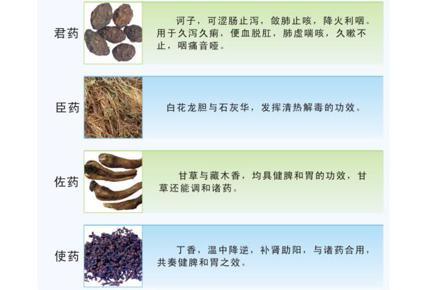 獨家醫保產品“六味丁香片”的源遠流長 獨家醫保產品“六味丁香片”的源遠流長