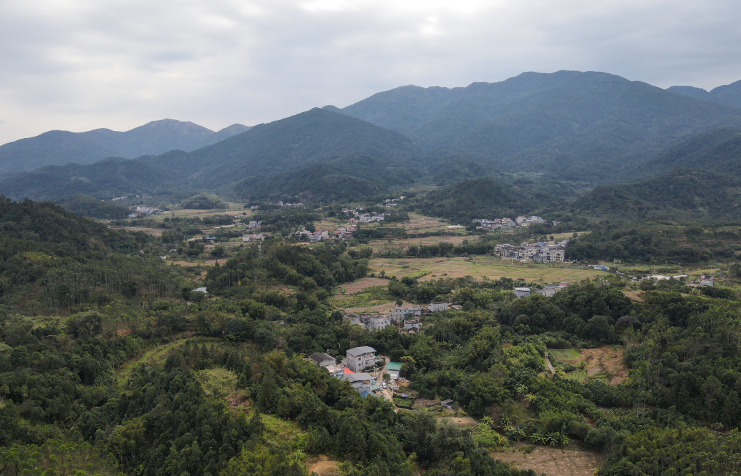 防城区大菉镇图片