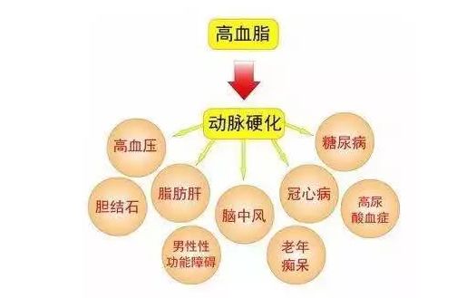 肽对“三高”人群的作用！