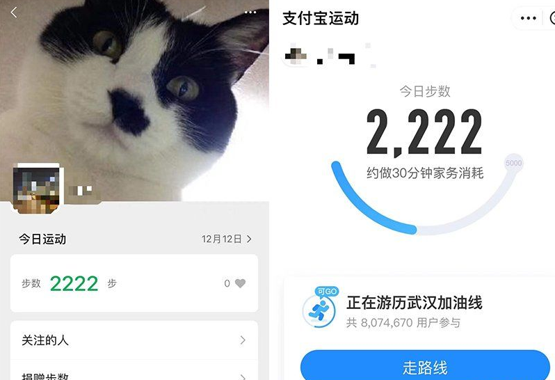 支付宝&微信运动刷步工具2.4，一键傻瓜式刷第1张