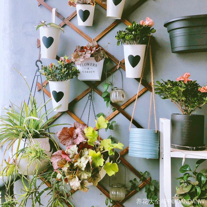 家里的花别乱摆，小心招来大麻烦！