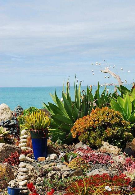 惊艳|双十一剁手的钱省下来,可以建一个多肉花园了!