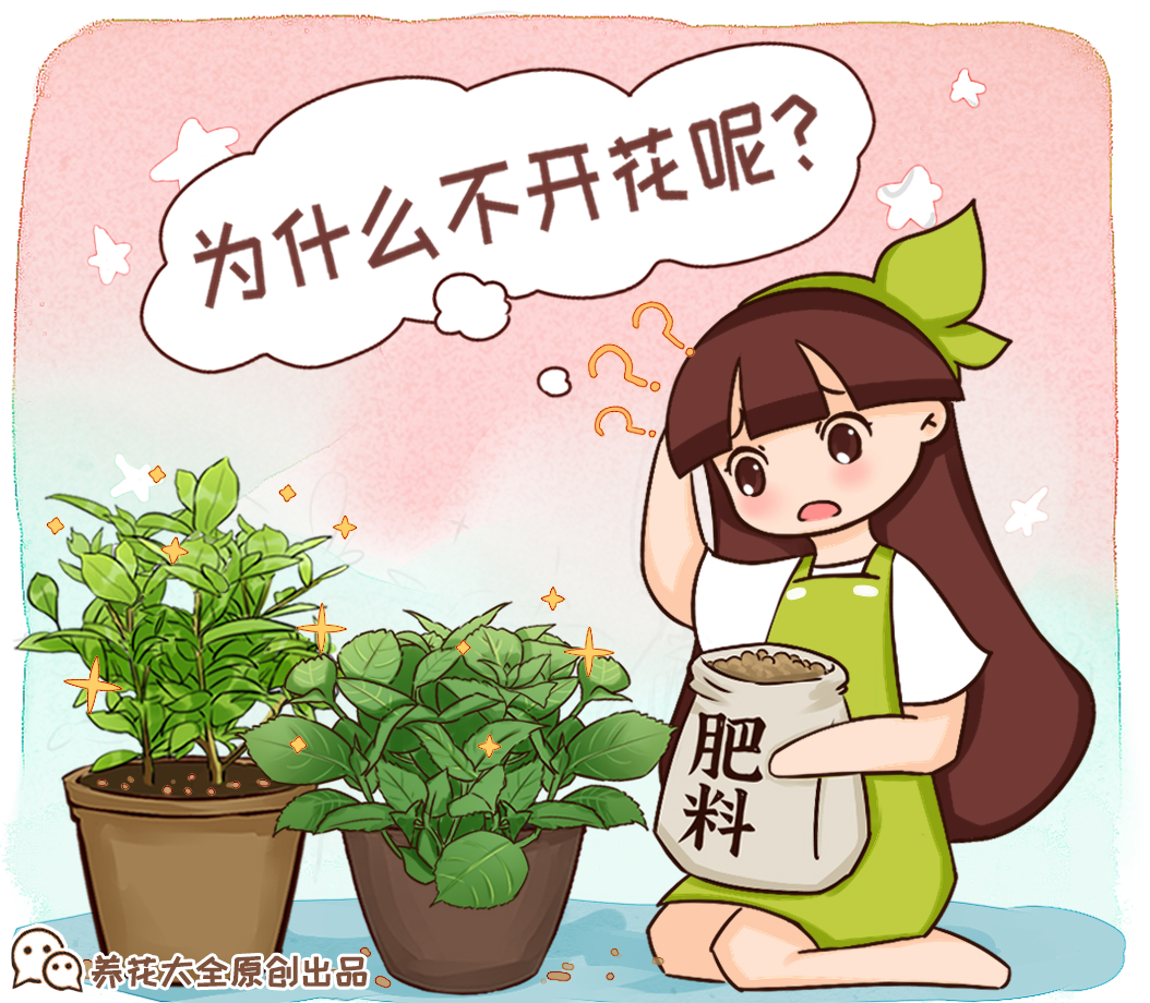 你家的花還不開？狠心剪、虐一虐，立馬爆開花！ 家居 第2張