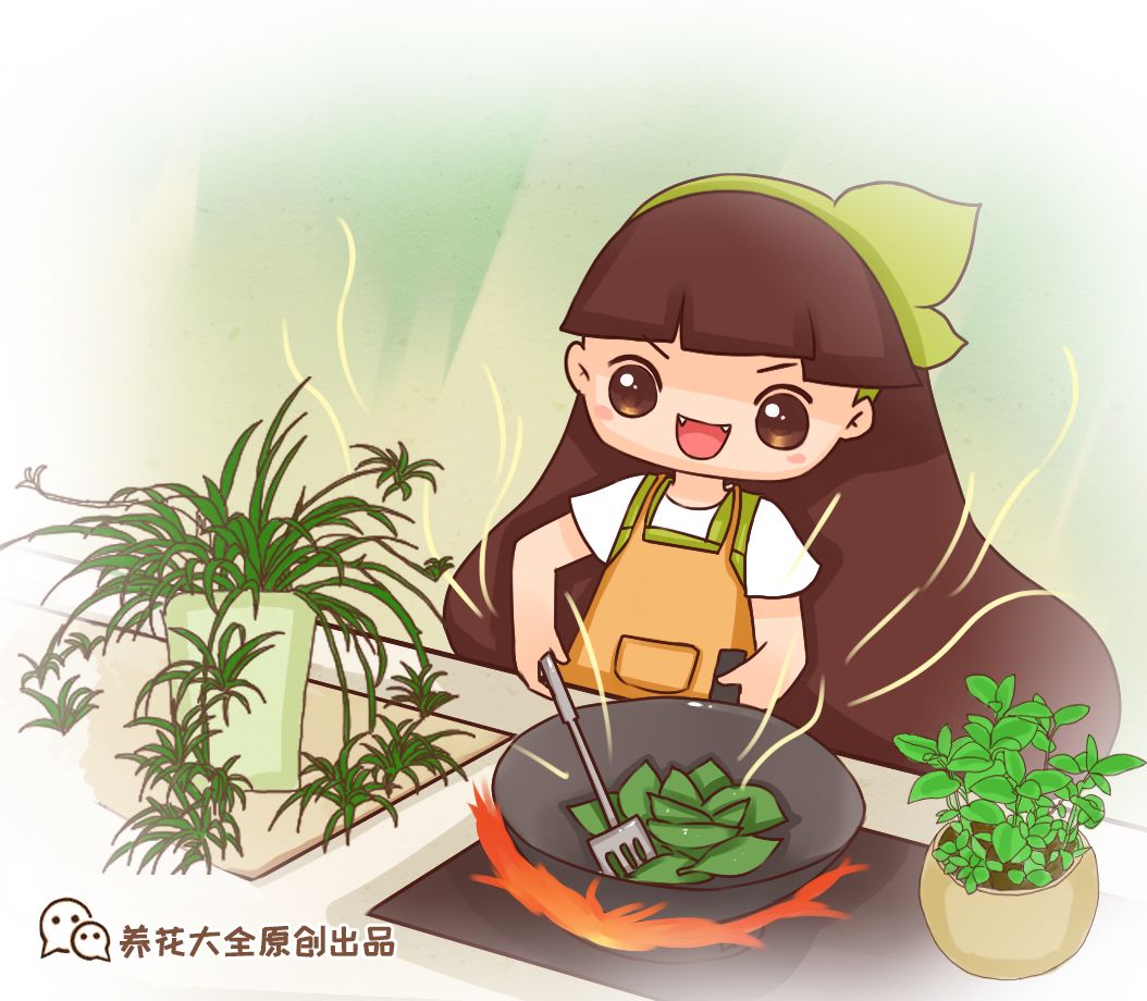 廚房擺盆它，吸油煙除異味，空氣清新身體好！ 家居 第2張