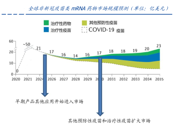 CRO|mRNA创新药必不可少的助力