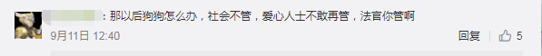 流浪狗撞傷老人，好心投喂者卻被告上法庭，網友：天理安在 寵物 第8張