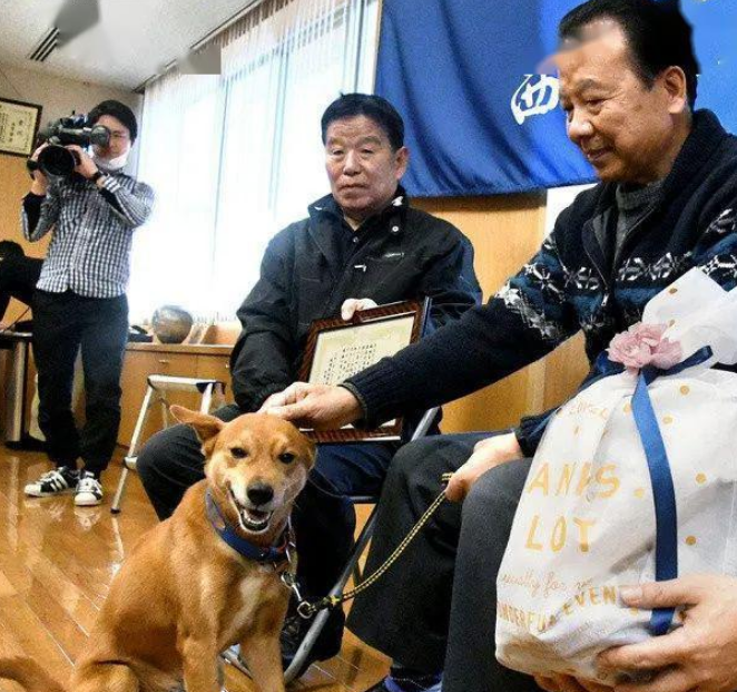 狗狗幫忙破了案，警局獎勵它一包狗糧，領獎的樣子過於真實了 寵物 第1張