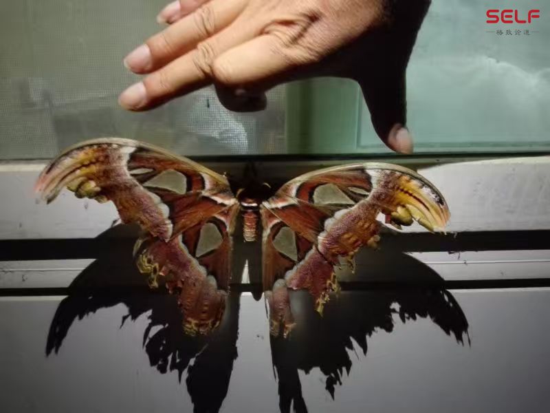 ����:FAST��Զ����4450�鷴���� ��Ϊ�����鳤�Ա���