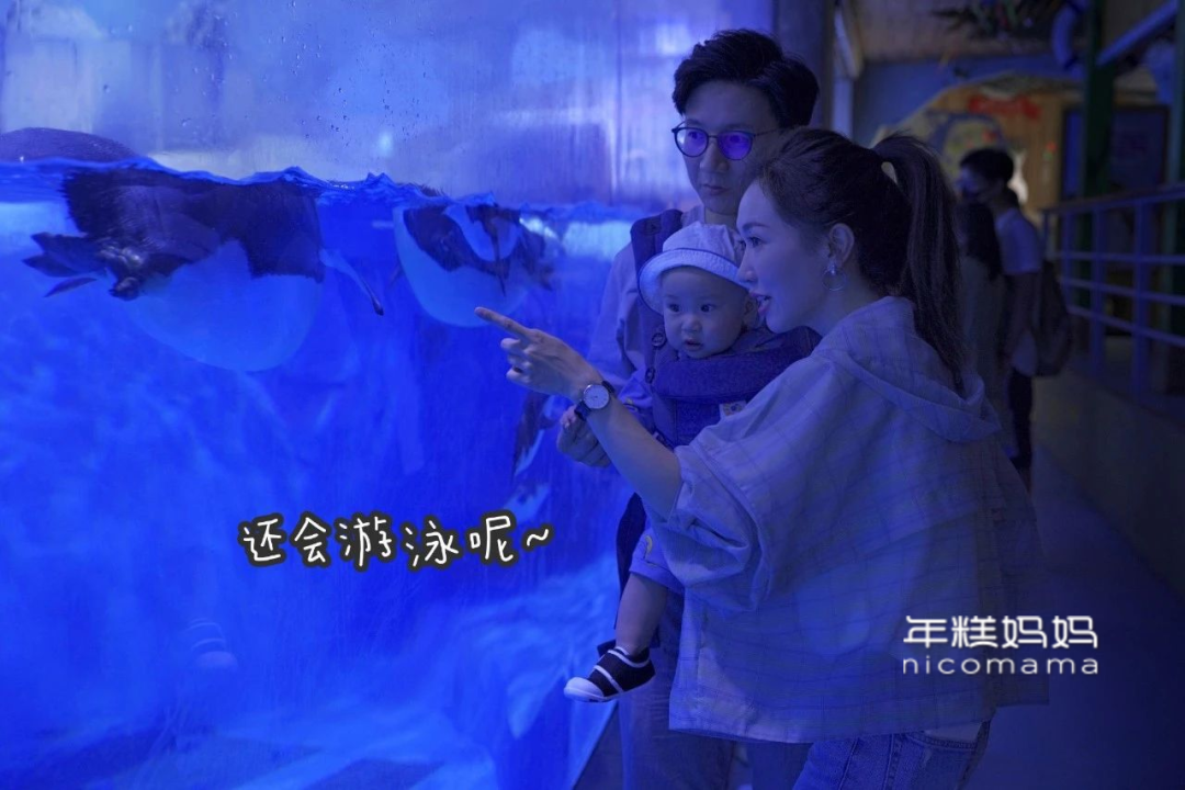 啊呀呀呀呀呀呀_呀呀呀呀 oba_牙牙学语还是呀呀学语