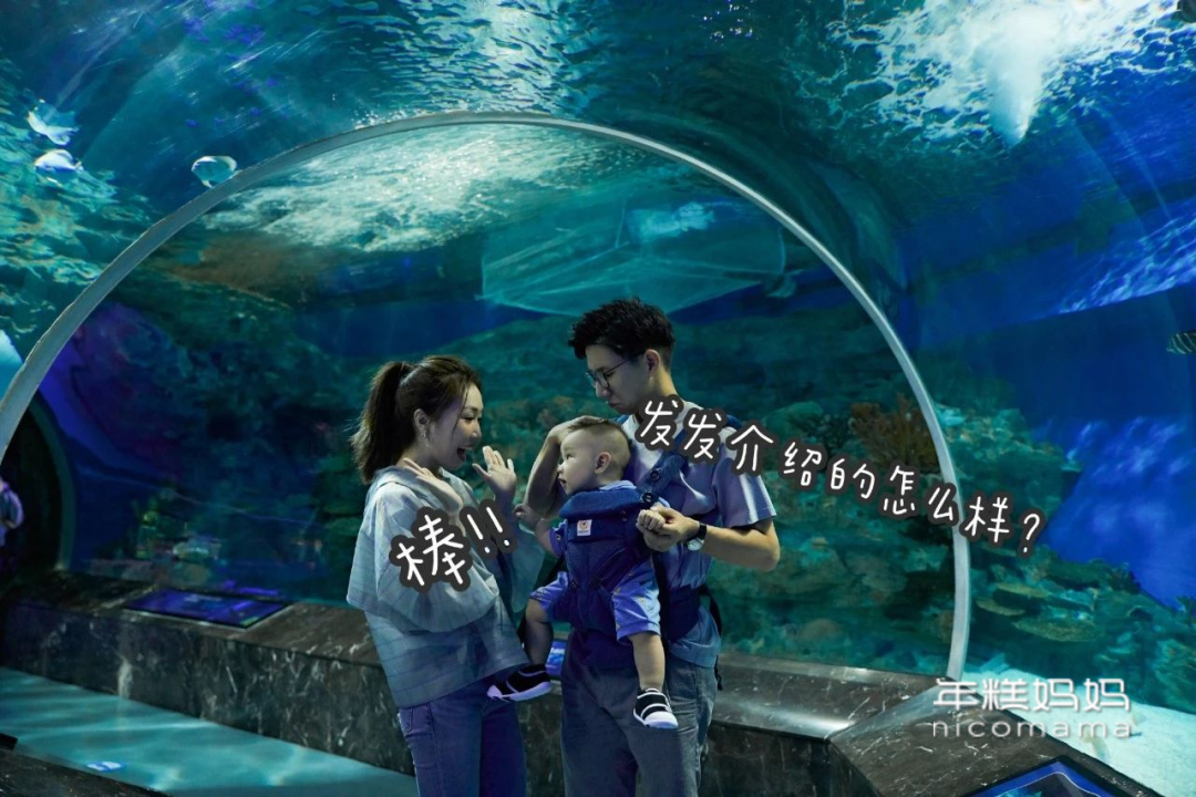 啊呀呀呀呀呀呀_呀呀呀呀 oba_牙牙学语还是呀呀学语