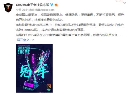 刀圈二三事：外国水友如何看待Ehome在Minor中夺冠？