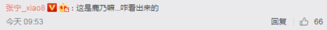 刀圈二三事：外国水友如何看待Ehome在Minor中夺冠？