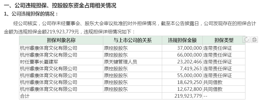 【e公司调查】睿康系夏建统的资本败局