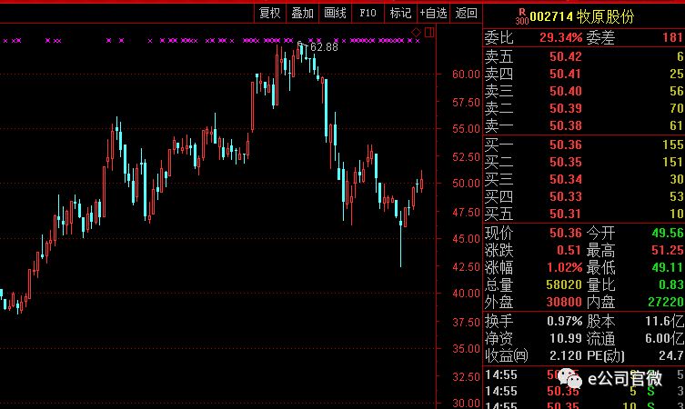 养一头猪亏100元！河南首富1个月身家缩水近百亿