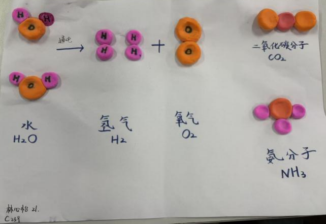 增益长智 | 当分子原子“跳”出课本 创意惊艳全场——湘潭市益智中学九年级学子化学实践活动成果展