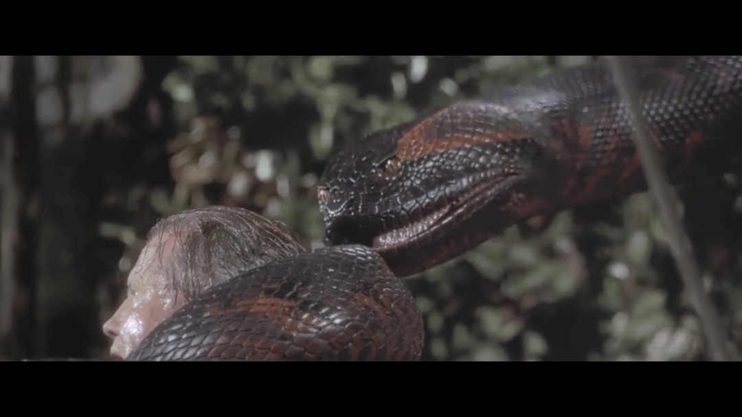 电影结尾,萨罗之死,观众也确实听到了银幕上骨头断裂的声音.