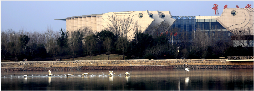 【今日速递】 | 新乡市平原示范区管委会2021校招