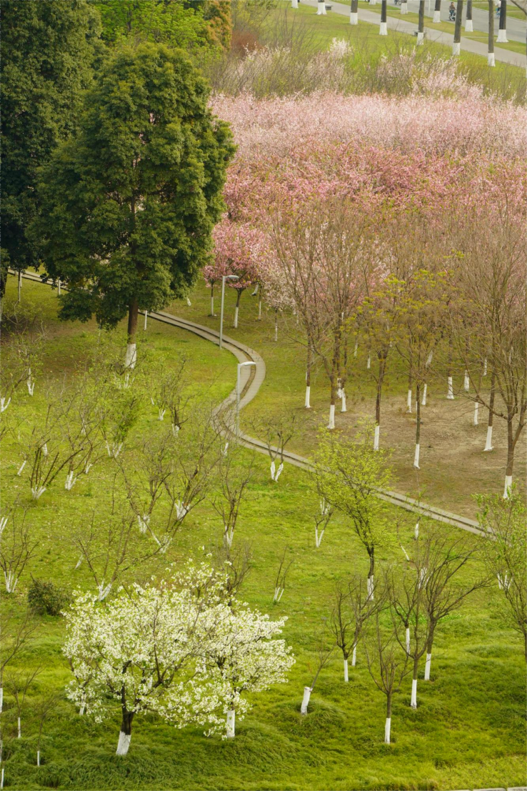 绿-邝(1).png