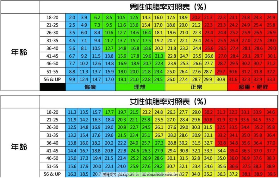 科普 体脂率 Body Fat Percentage C罗和 白斩鸡 的区别究竟有多么大 阳sir的考古学之眼 微信公众号文章阅读 Wemp
