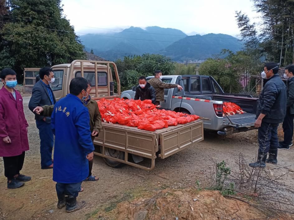 暴鸡抢单辅助_贵阳捉鸡麻将辅助_吃鸡辅助群