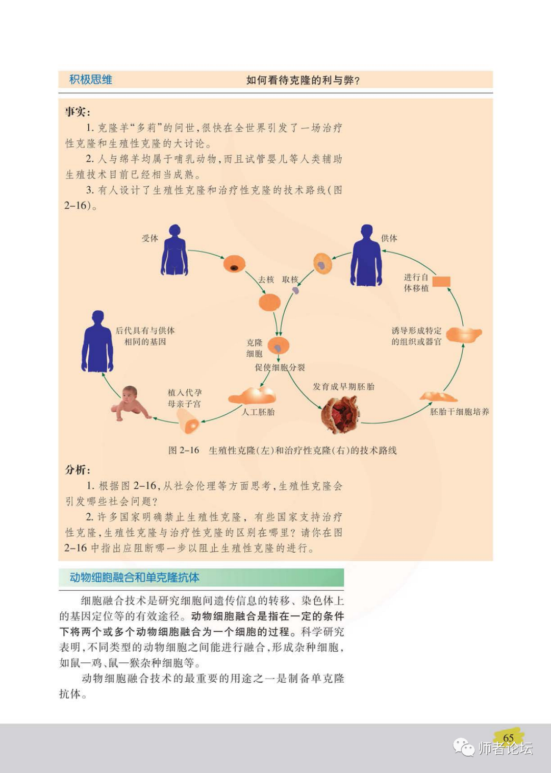 细胞融合和单克隆抗体(Page65) 苏教版高中生物选修3(2004版现代生物