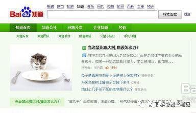 告诉你10个互联网赚钱项目，做好一个几年吃喝不愁