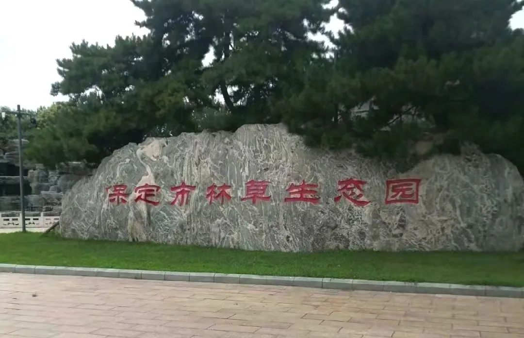 社会实践(十三)|青春应有为,筑梦正当时——保定理工学院信工学院“三下乡”社会实践