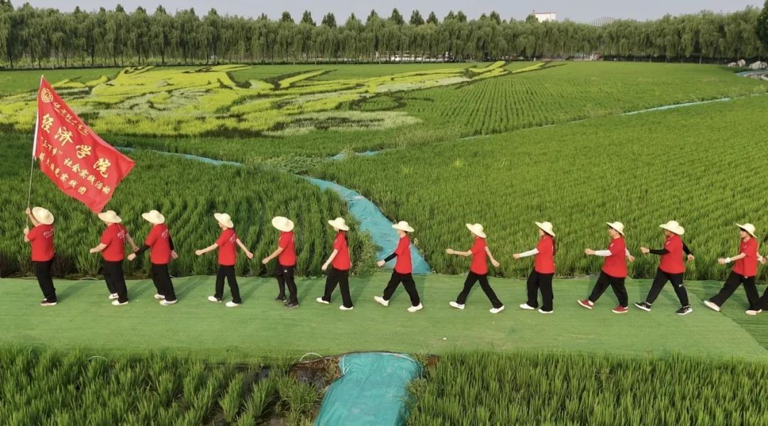 社斗牛娱乐官网实践（二十一）｜牛牛游戏经济牛牛游戏“薪火逐光”实践团赴神农现代农业示范园开展“三下乡”社斗牛娱乐官网实践活动（四）